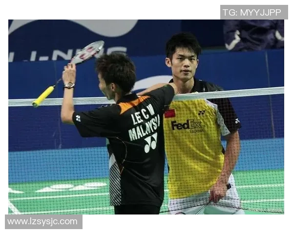 林丹与孙完虎巅峰对决全记录经典时刻回顾与精彩瞬间分析